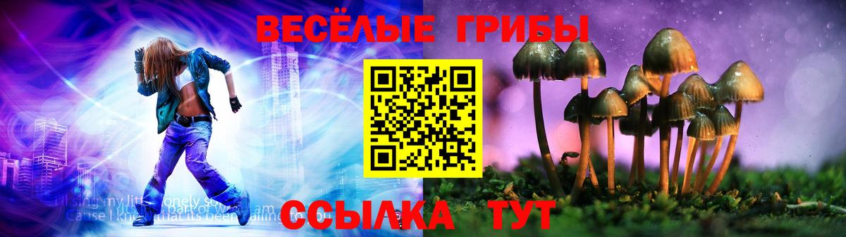 Галлюциногенные грибы Psilocybine cubensis  Псилоцибиновые грибы Cubensis  наркота  Пугачёв  Вход с VPN 